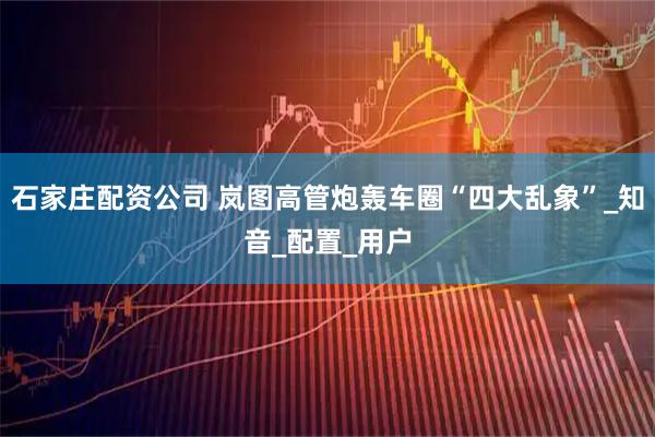 石家庄配资公司 岚图高管炮轰车圈“四大乱象”_知音_配置_用户