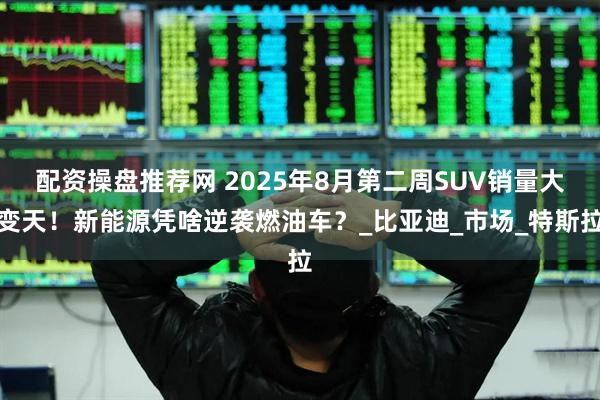 配资操盘推荐网 2025年8月第二周SUV销量大变天！新能源凭啥逆袭燃油车？_比亚迪_市场_特斯拉